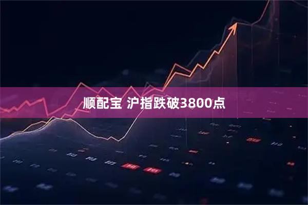 顺配宝 沪指跌破3800点