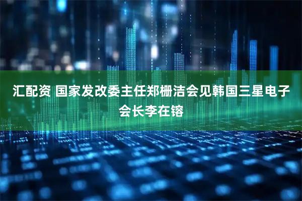 汇配资 国家发改委主任郑栅洁会见韩国三星电子会长李在镕
