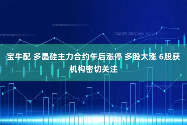 宝牛配 多晶硅主力合约午后涨停 多股大涨 6股获机构密切关注