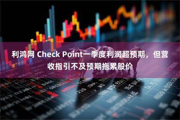 利鸿网 Check Point一季度利润超预期，但营收指引不及预期拖累股价