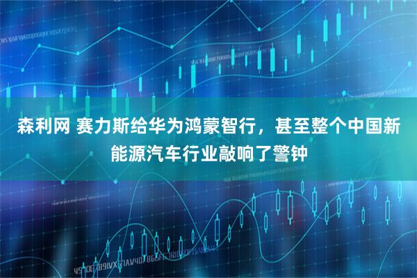 森利网 赛力斯给华为鸿蒙智行，甚至整个中国新能源汽车行业敲响了警钟