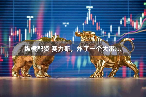 纵横配资 赛力斯，炸了一个大雷…