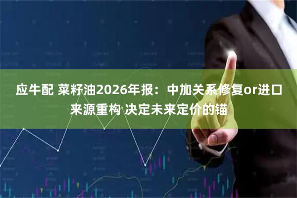 应牛配 菜籽油2026年报：中加关系修复or进口来源重构 决定未来定价的锚