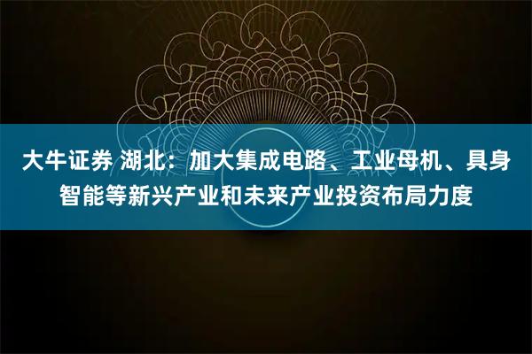 大牛证券 湖北：加大集成电路、工业母机、具身智能等新兴产业和未来产业投资布局力度