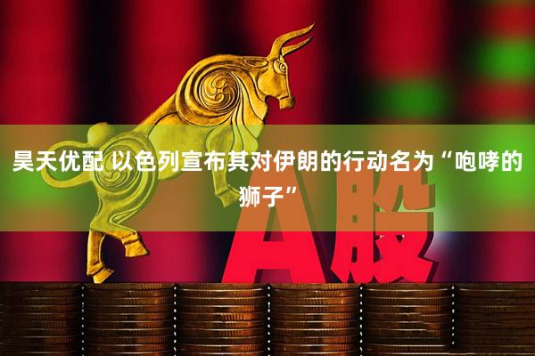 昊天优配 以色列宣布其对伊朗的行动名为“咆哮的狮子”