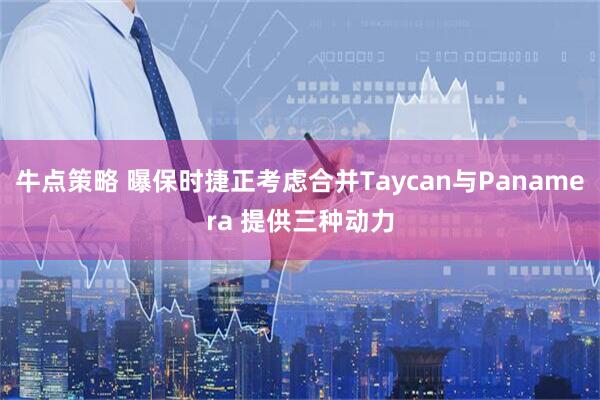 牛点策略 曝保时捷正考虑合并Taycan与Panamera 提供三种动力