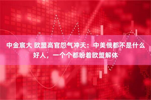 中金宸大 欧盟高官怨气冲天：中美俄都不是什么好人，一个个都盼着欧盟解体