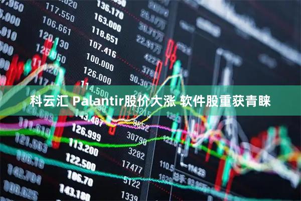 科云汇 Palantir股价大涨 软件股重获青睐