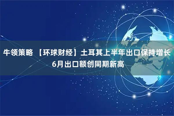 牛领策略 【环球财经】土耳其上半年出口保持增长 6月出口额创同期新高